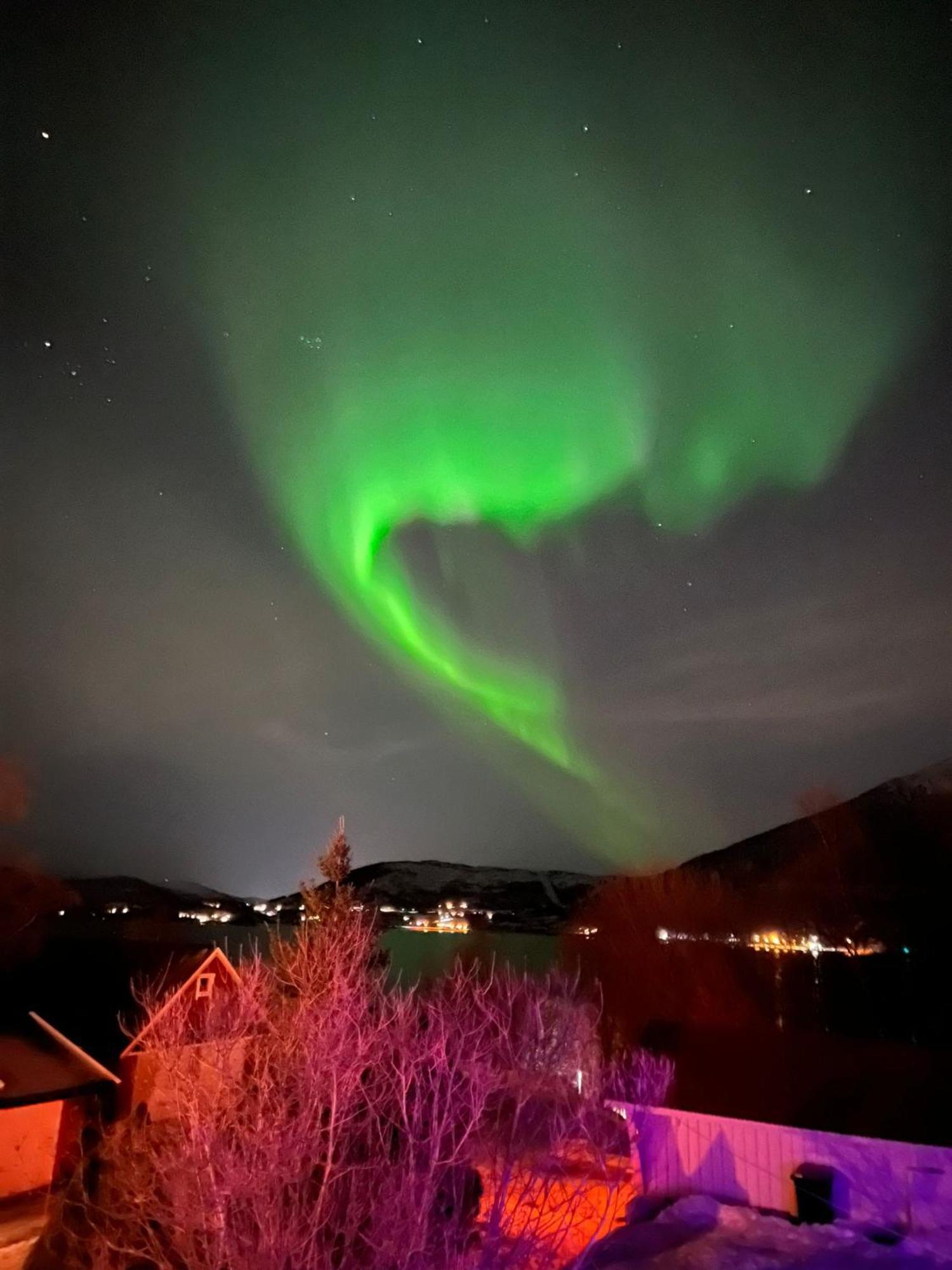 Evenes Artic Glamping Hotel Evenesmarkja Exterior photo